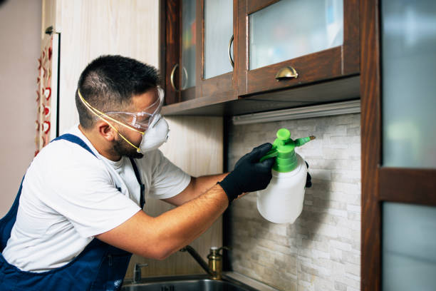 Best Affordable Pest Control Services  in Nevada City, CA