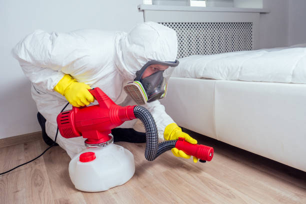 Trusted Nevada City, CA Pest Control Experts