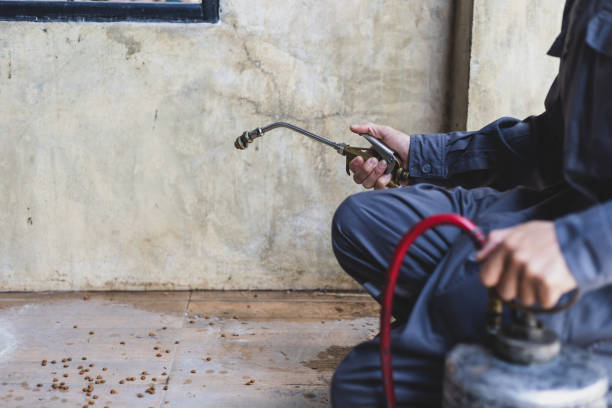Best Exterminator Services  in Nevada City, CA